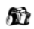 Bilder