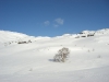 Krokvatn