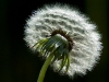 dsc05080