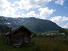 SONY DSC