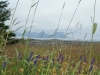 Herøy