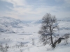 Ådneram